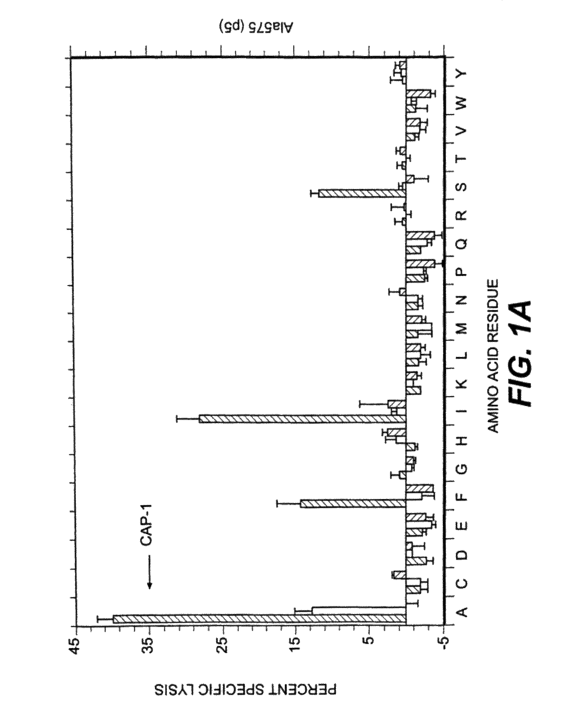 Agonist and antagonist peptides of carcinoembryonic antigen (CEA)