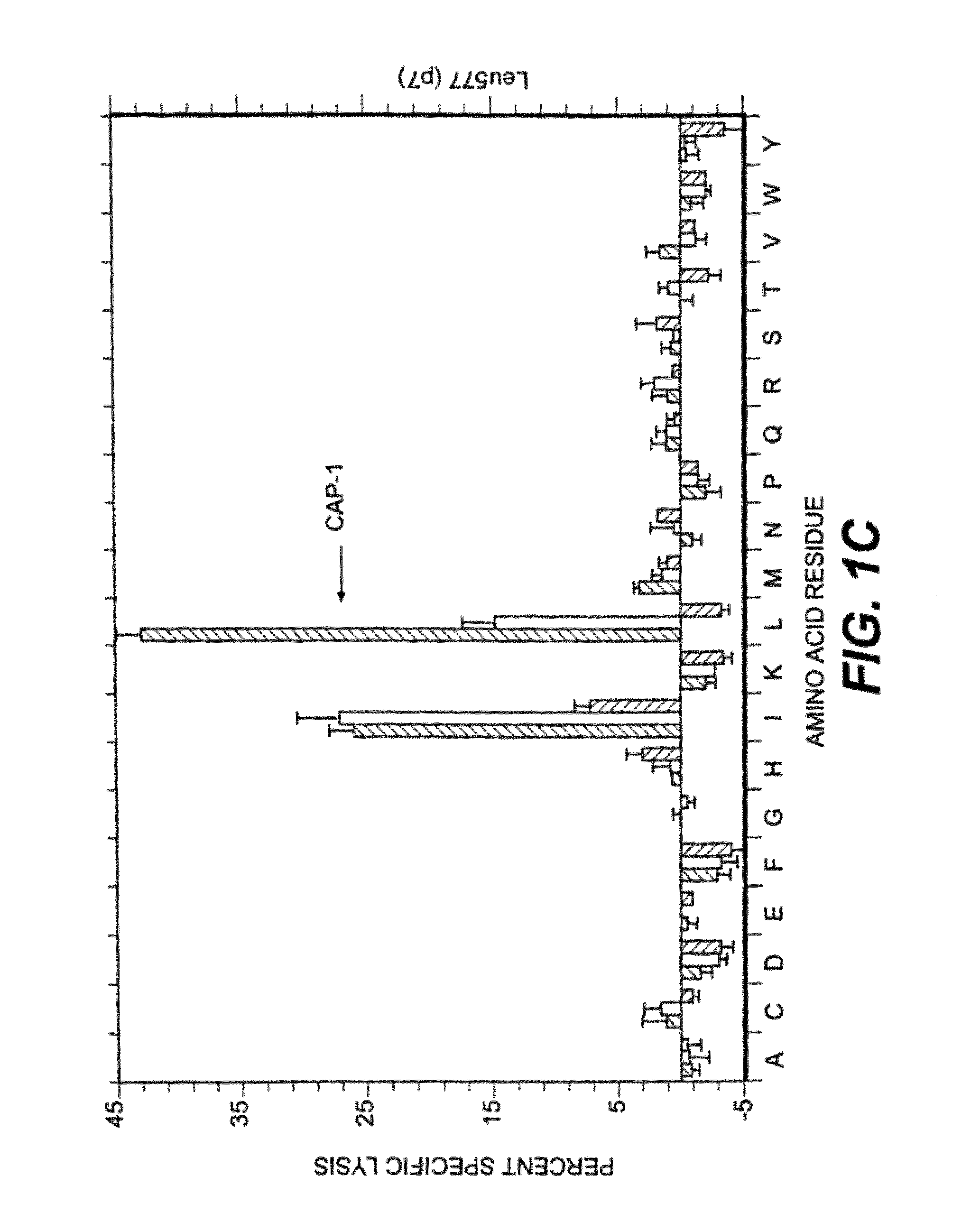 Agonist and antagonist peptides of carcinoembryonic antigen (CEA)