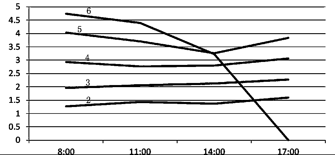 Flue-cured tobacco management and flue-curing method based on salicylic acid application to alleviate gray tobacco