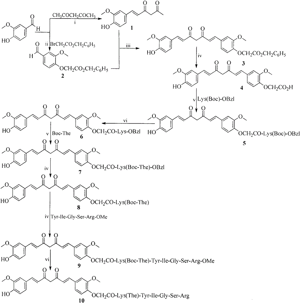 YIGSR modified curcumin, preparation method, biological activity and application thereof