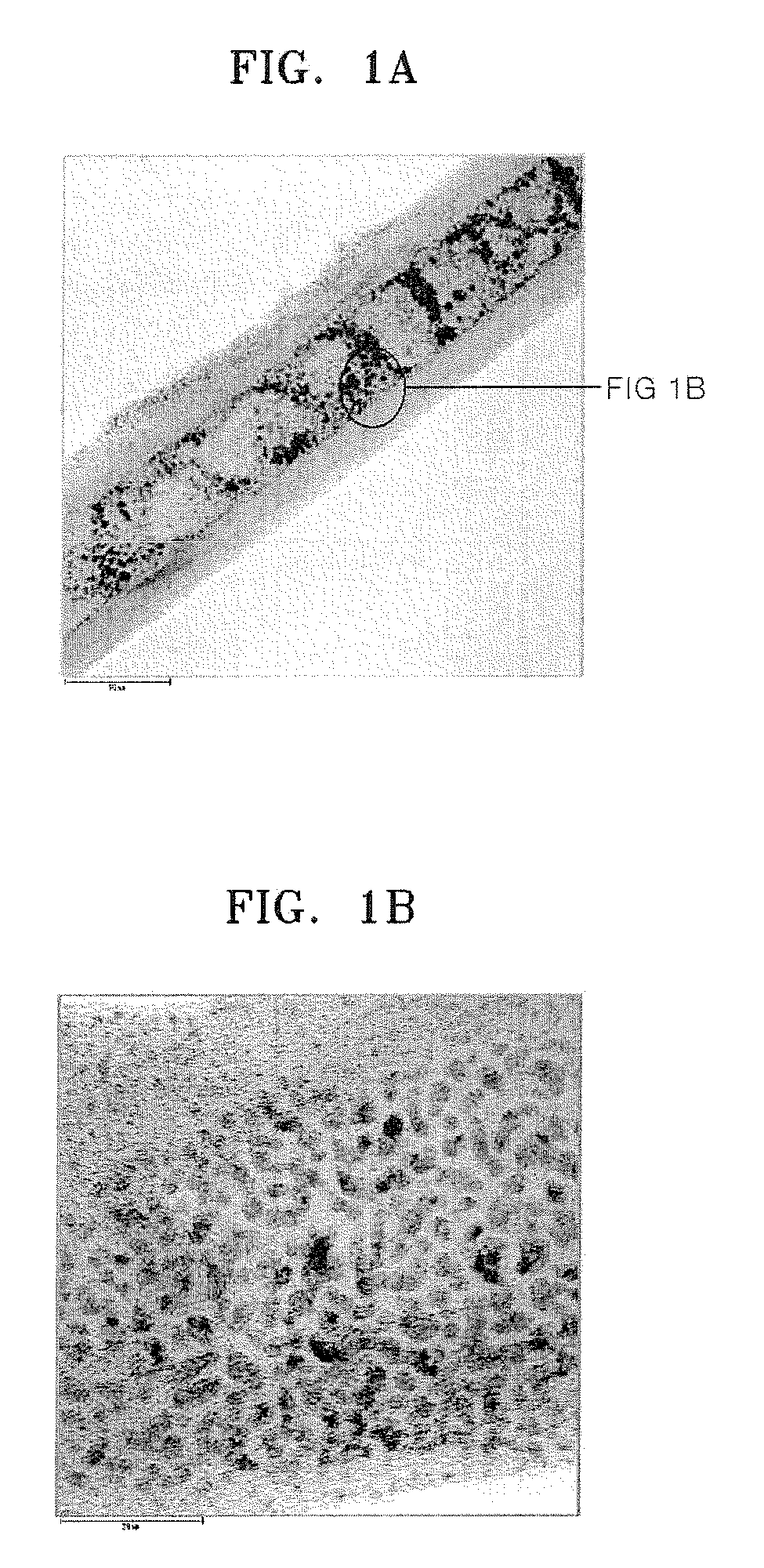 Nanocomposite, nanocomposite electrolyte membrane including the same and fuel cell including the nanocomposite electrolyte membrane