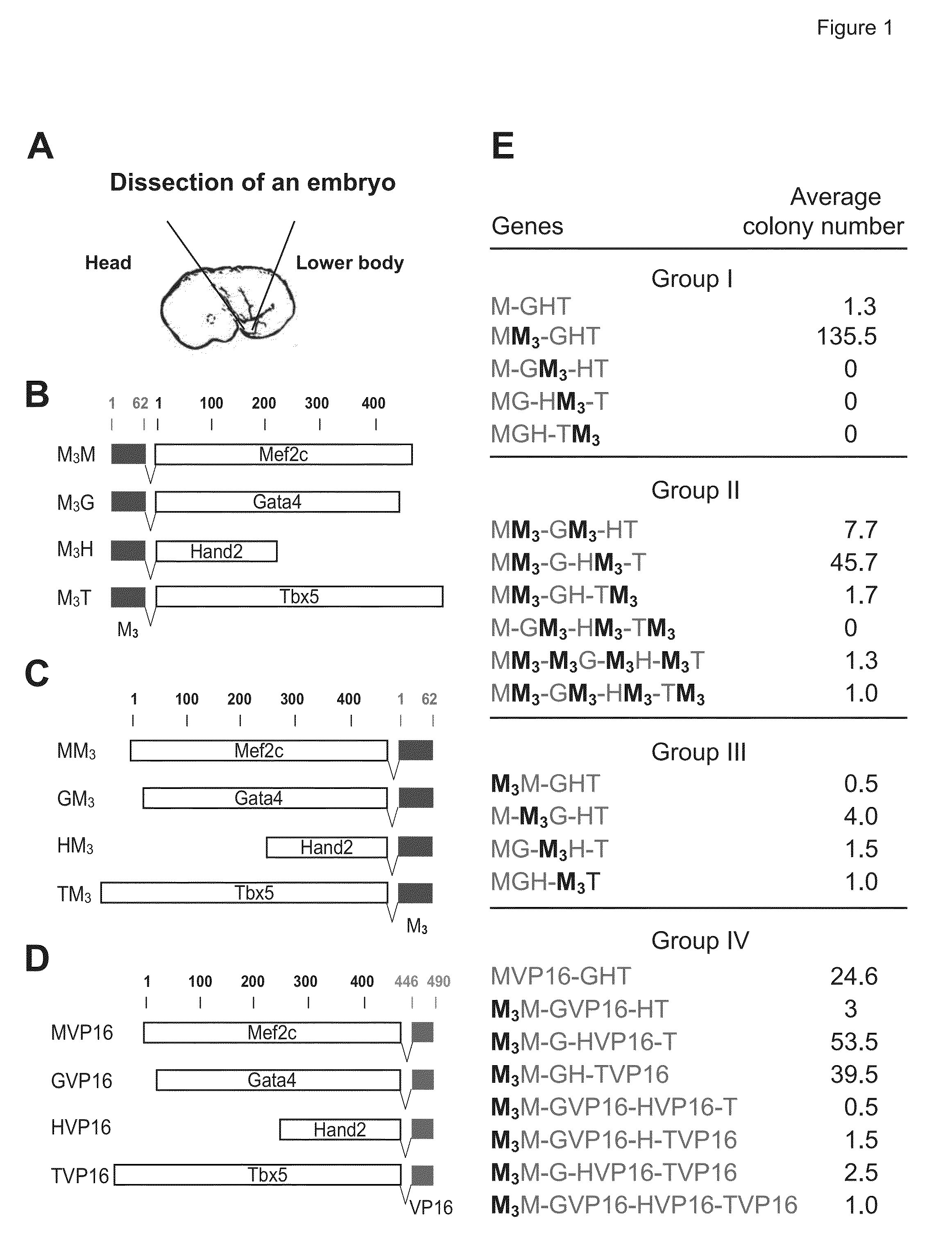 Method of efficiently converting non-cardiac cells into cardiovascular cells