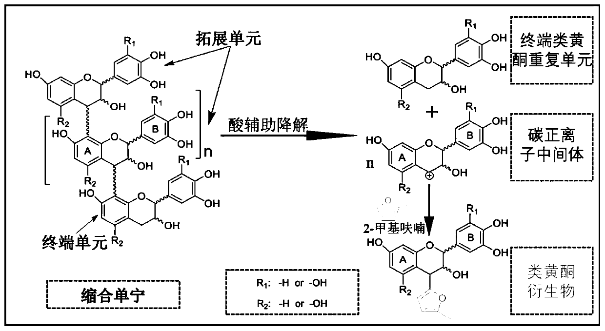 Degraded condensed tannin modified phenolic resin wood adhesive and preparation method thereof