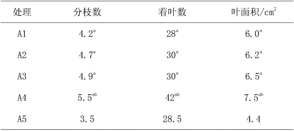 Tea tree organic fertilizer and preparing method thereof