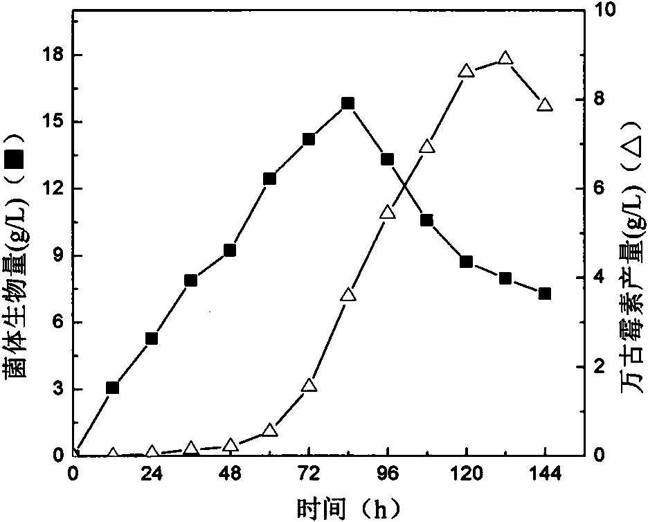 Ribosome resistance mutagenesis breeding vancomycin production bacterial strain and application thereof