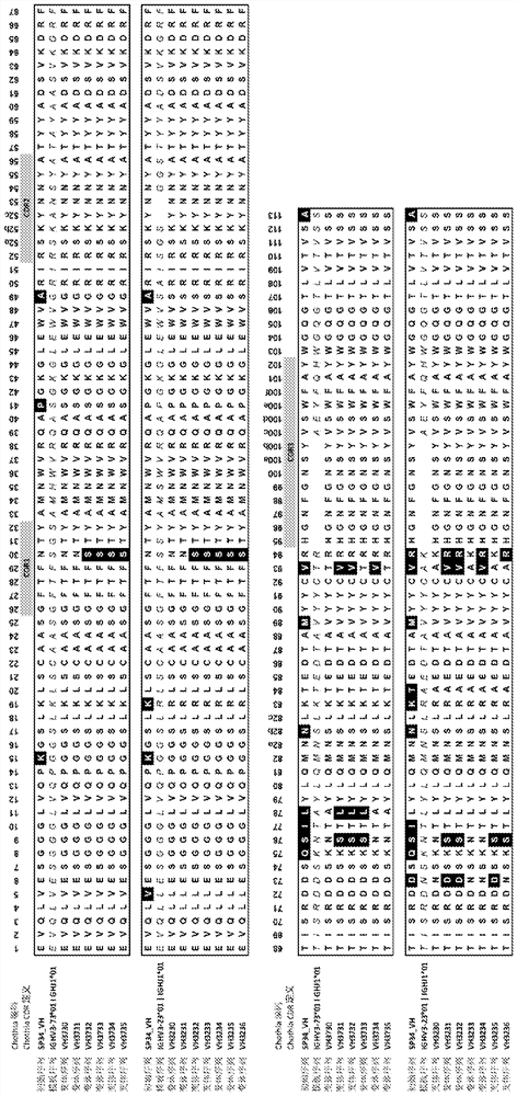 Antibodies targeting cd3, bispecific antibodies and uses thereof