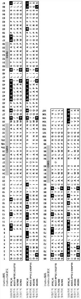 Antibodies targeting cd3, bispecific antibodies and uses thereof