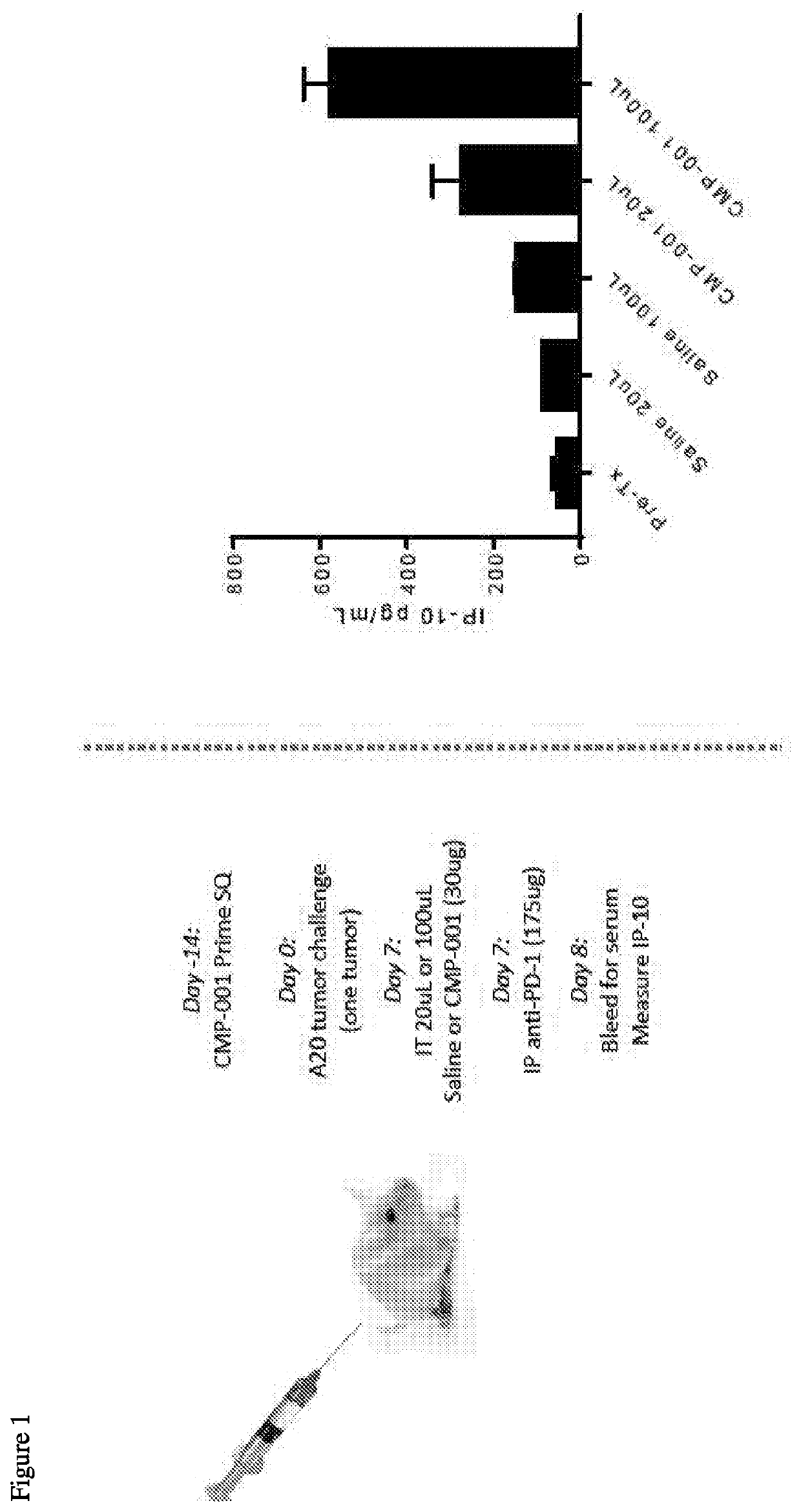 Compositions and methods for tumor immunotherapy