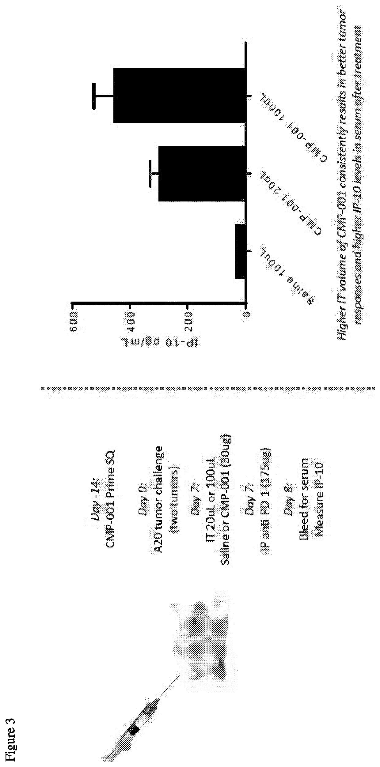 Compositions and methods for tumor immunotherapy