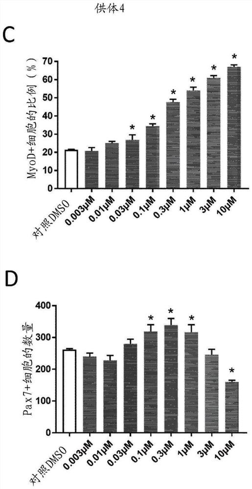 Src inhibitor compounds for skeletal muscle modulation, methods and uses thereof