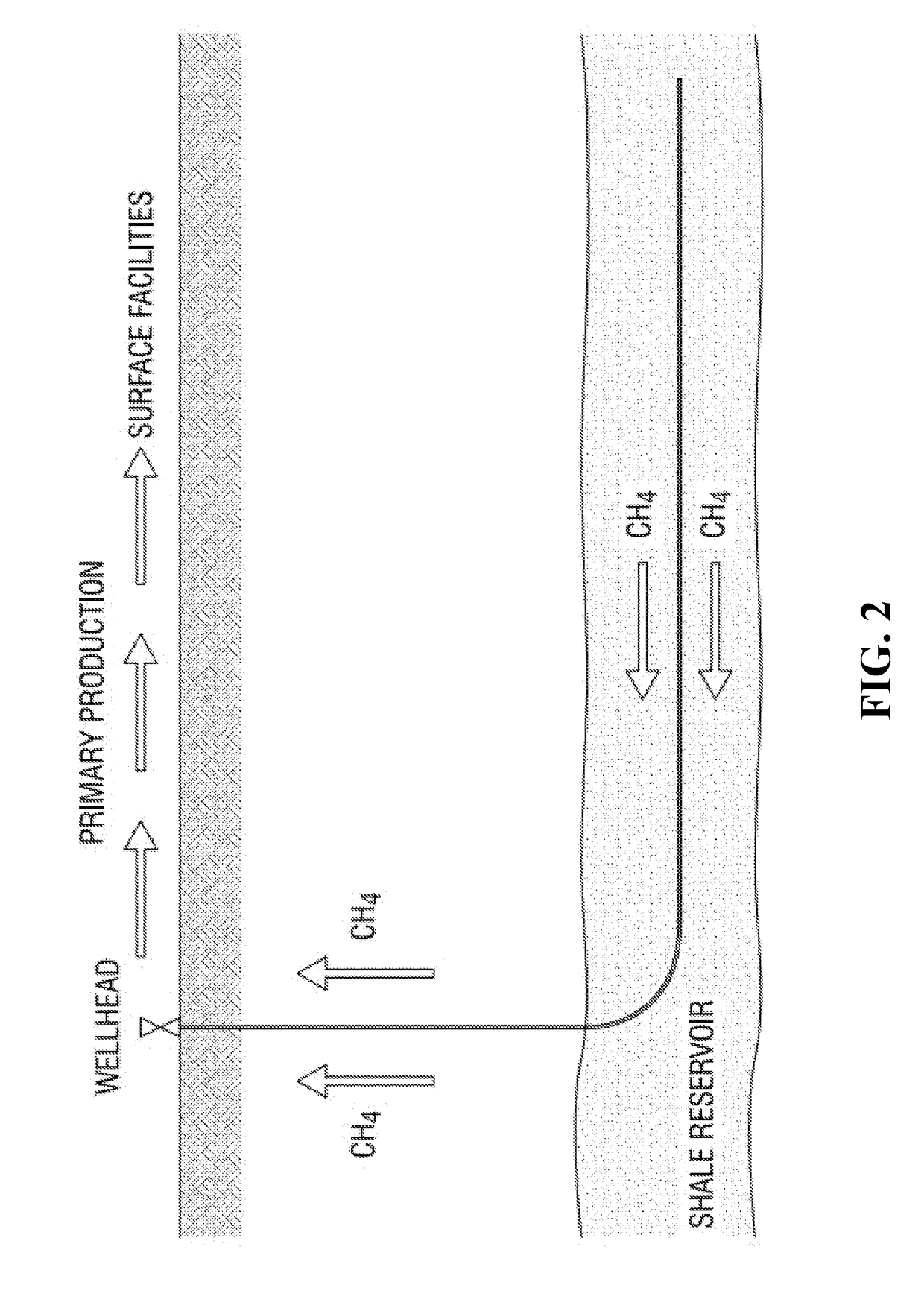 System and Method for Permanent Storage of Carbon Dioxide in Shale Reservoirs