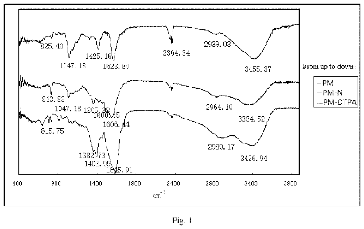 Lymph targeting nuclear magnetic contrast agent using brown algae polysaccharide as carrier and preparation method and use thereof