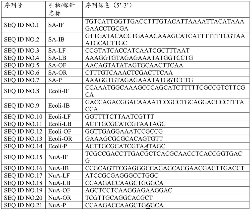 A kit for isothermal detection of bacterial pathogens in respiratory tract infections with enzyme-cleavage probes