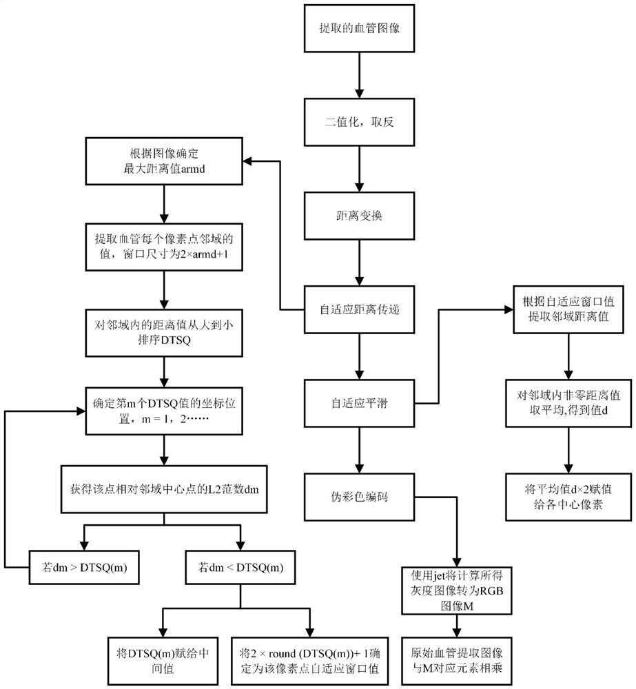 Image processing-based blood vessel diameter adaptive, pixel-level and visual quantitative characterization method