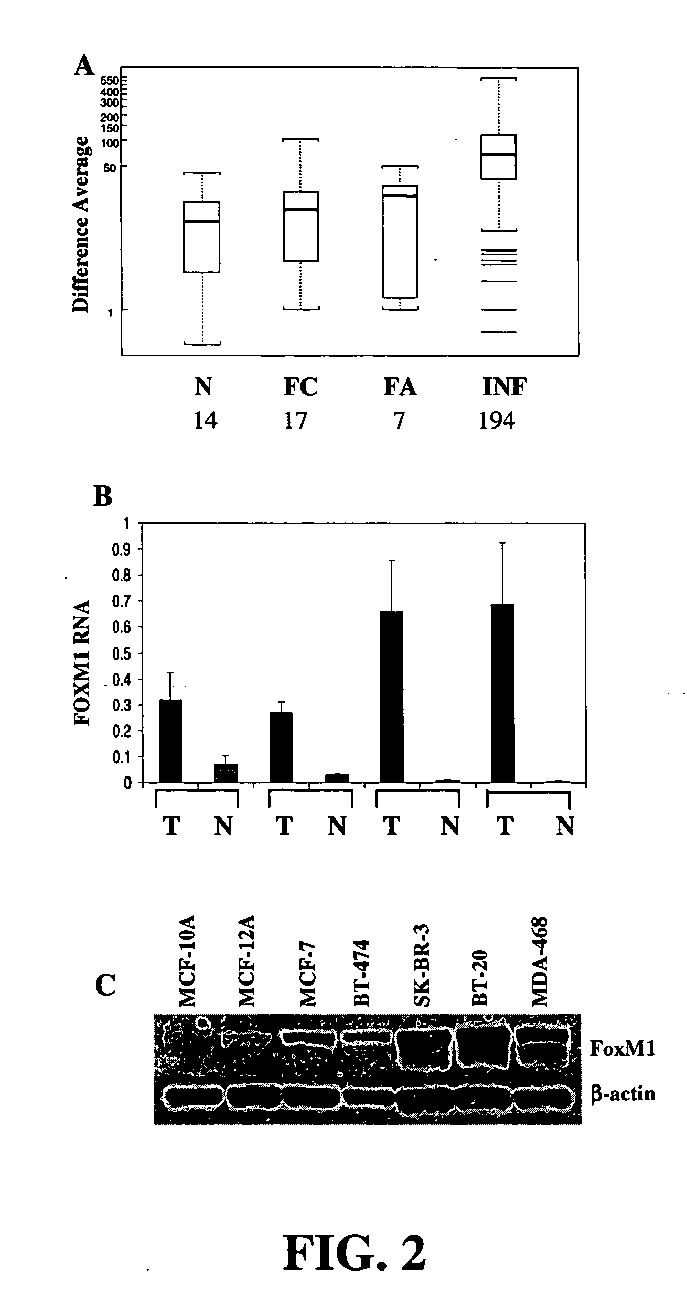 Diagnoses and therapeutics for cancer