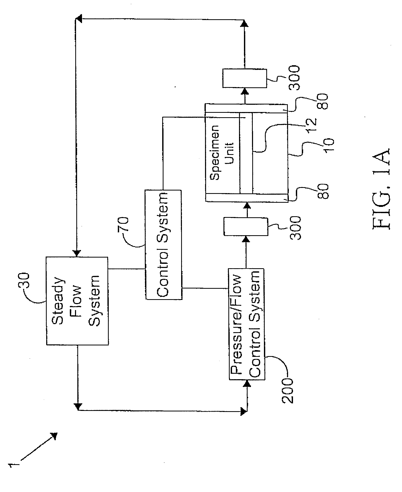 Systems and methods of promoting endothelialization of a hybrid hemodialysis access graft or a hybrid femoral artery bypass graft in a mammal