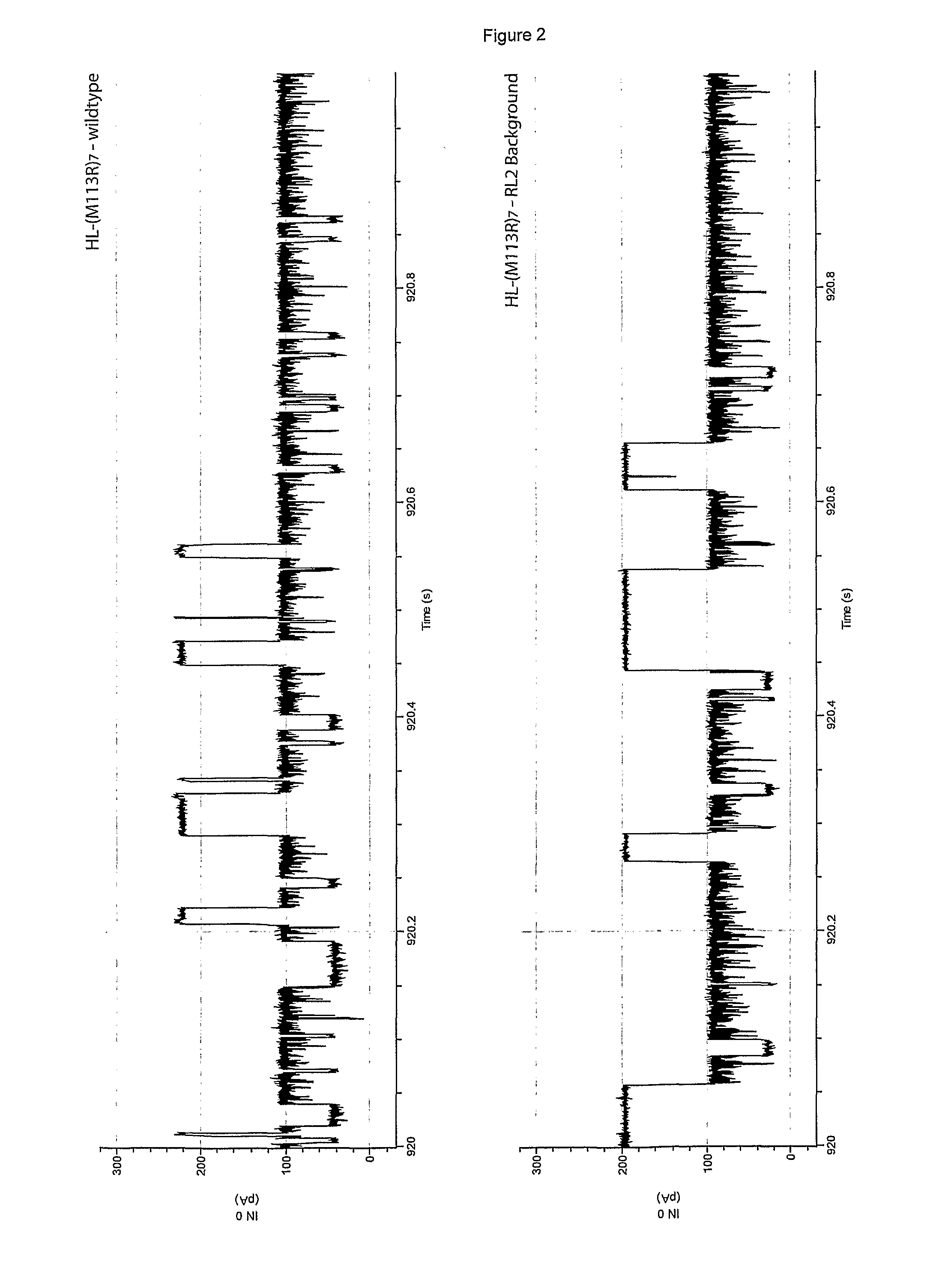 Base-detecting pore