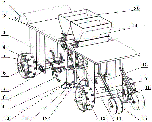 Fagopyrum tataricum no-tillage planter