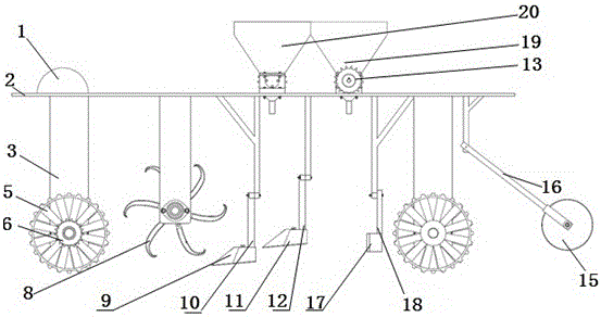 Fagopyrum tataricum no-tillage planter