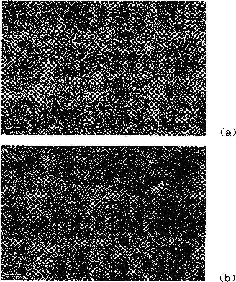 Method for synthesizing nano titanium dioxide through microwaves