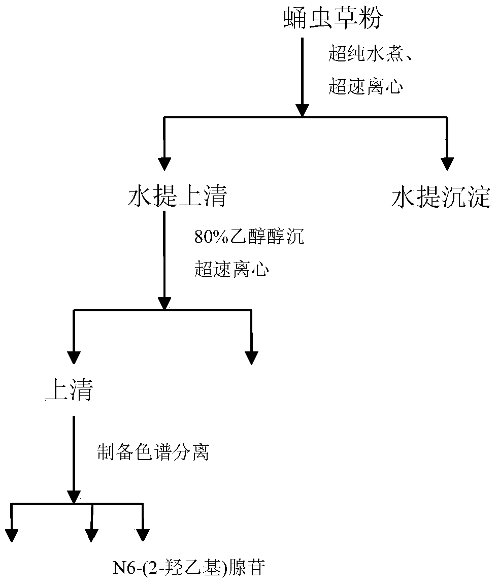 Method for extracting N6-(2-ethoxyl) adenosine from cordyceps militaris and application of N6-(2-ethoxyl) adenosine