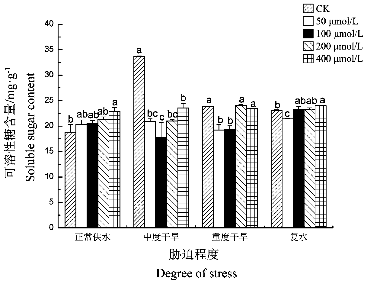 Method for improving drought resistance of Paeonia suffruticosa Andr. for oil by using methyl jasmonate