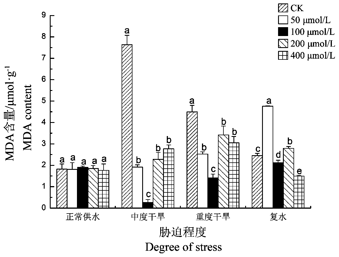 Method for improving drought resistance of Paeonia suffruticosa Andr. for oil by using methyl jasmonate