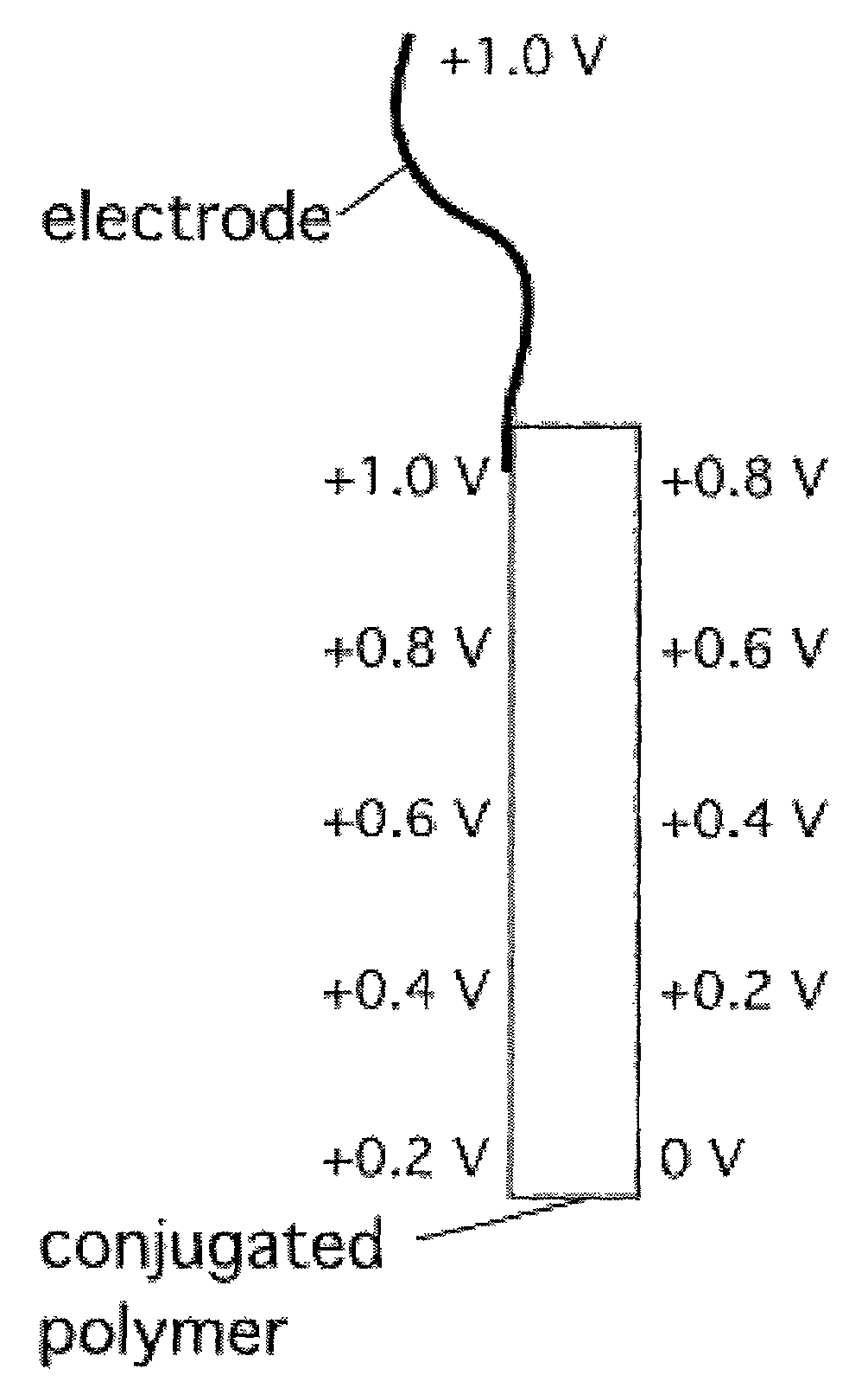 Electrochemical devices incorporating high-conductivity conjugated polymers