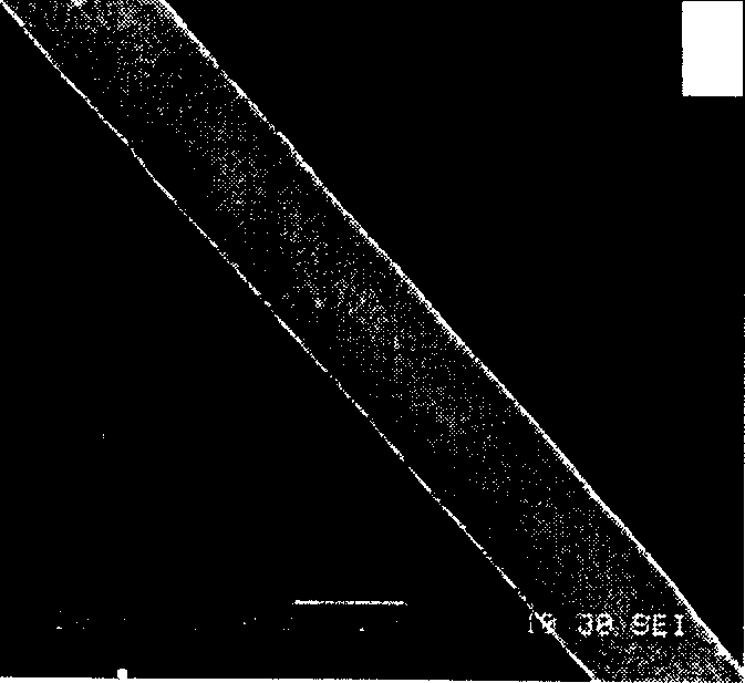 Process for preparing silicon carbide crystal whisker