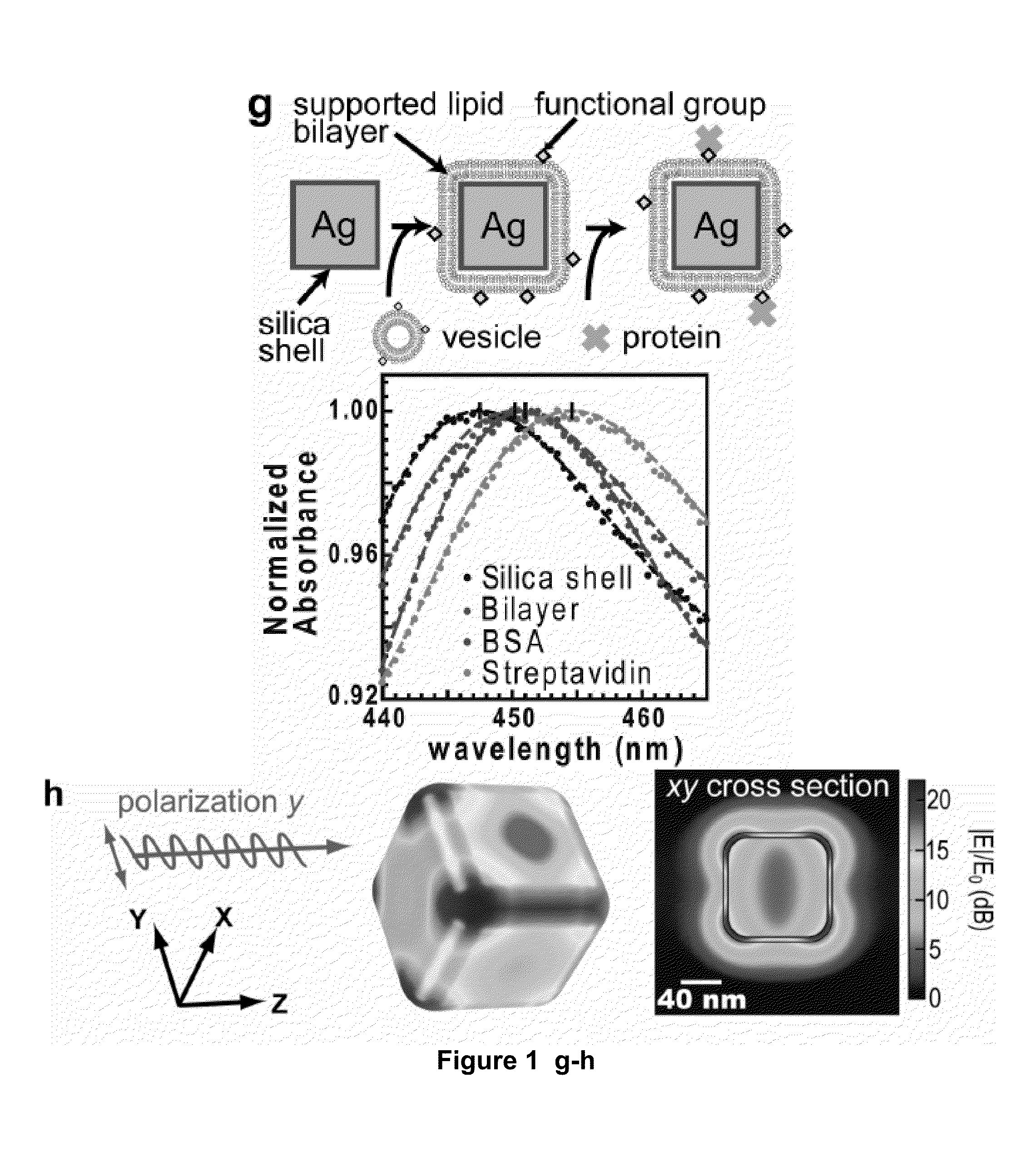 Nanoparticle Plasmonic Sensor for Localized Surface Plasmon Resonance