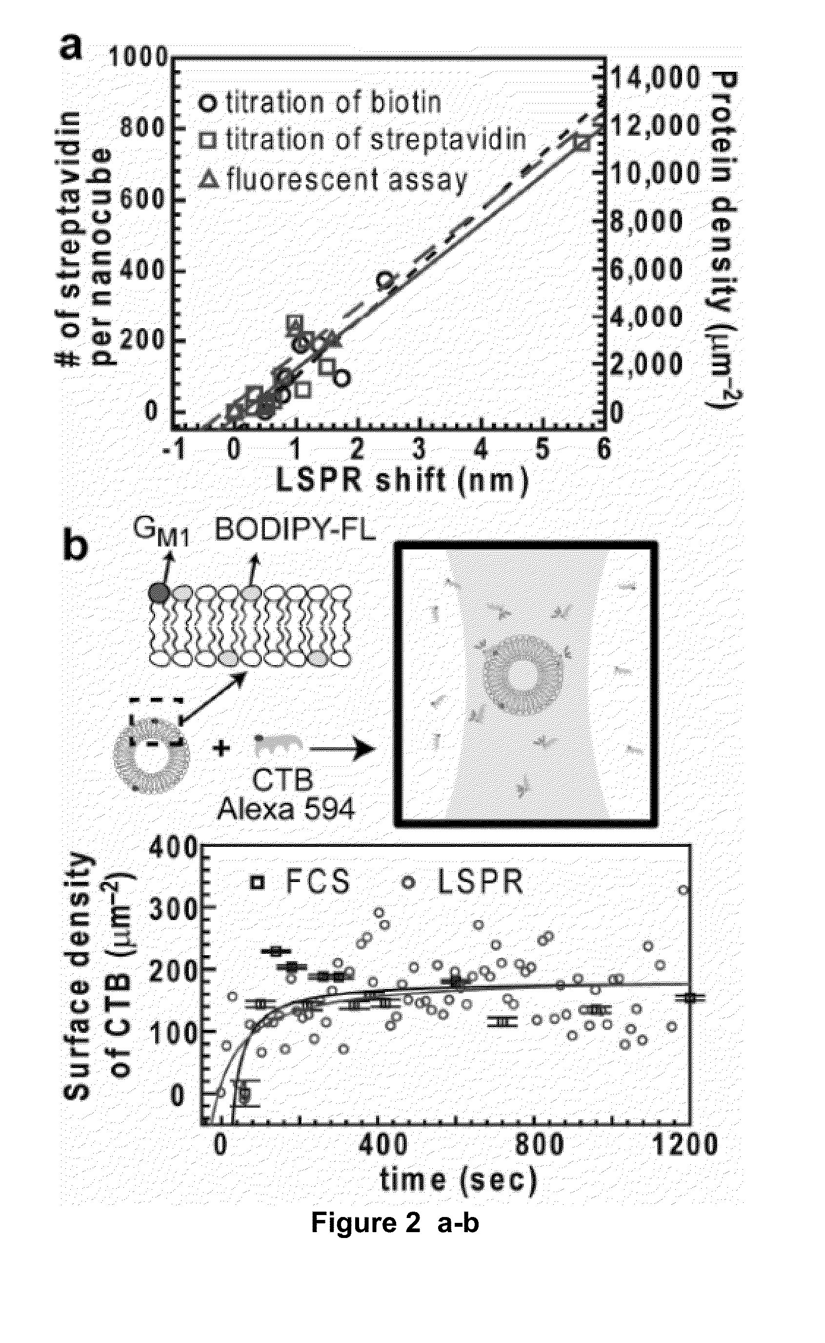 Nanoparticle Plasmonic Sensor for Localized Surface Plasmon Resonance