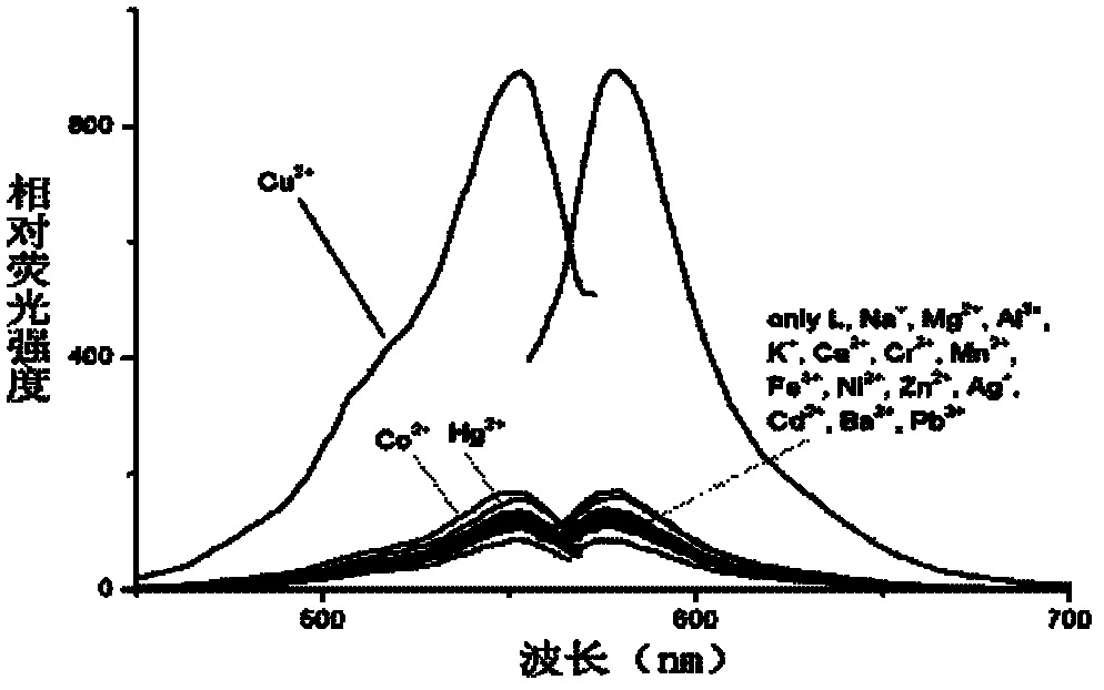 Chlorochromone acylhydrazone derivative based on rhodamine B as parent and application of derivative as fluorescence probe