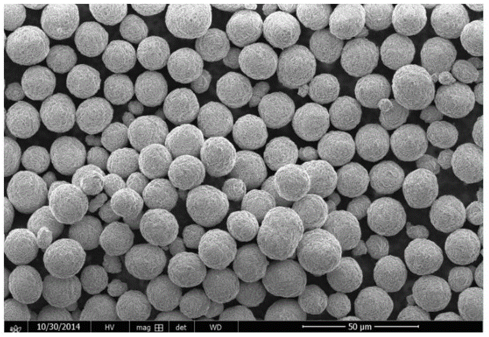 Ni-Co composite oxide and preparation method thereof