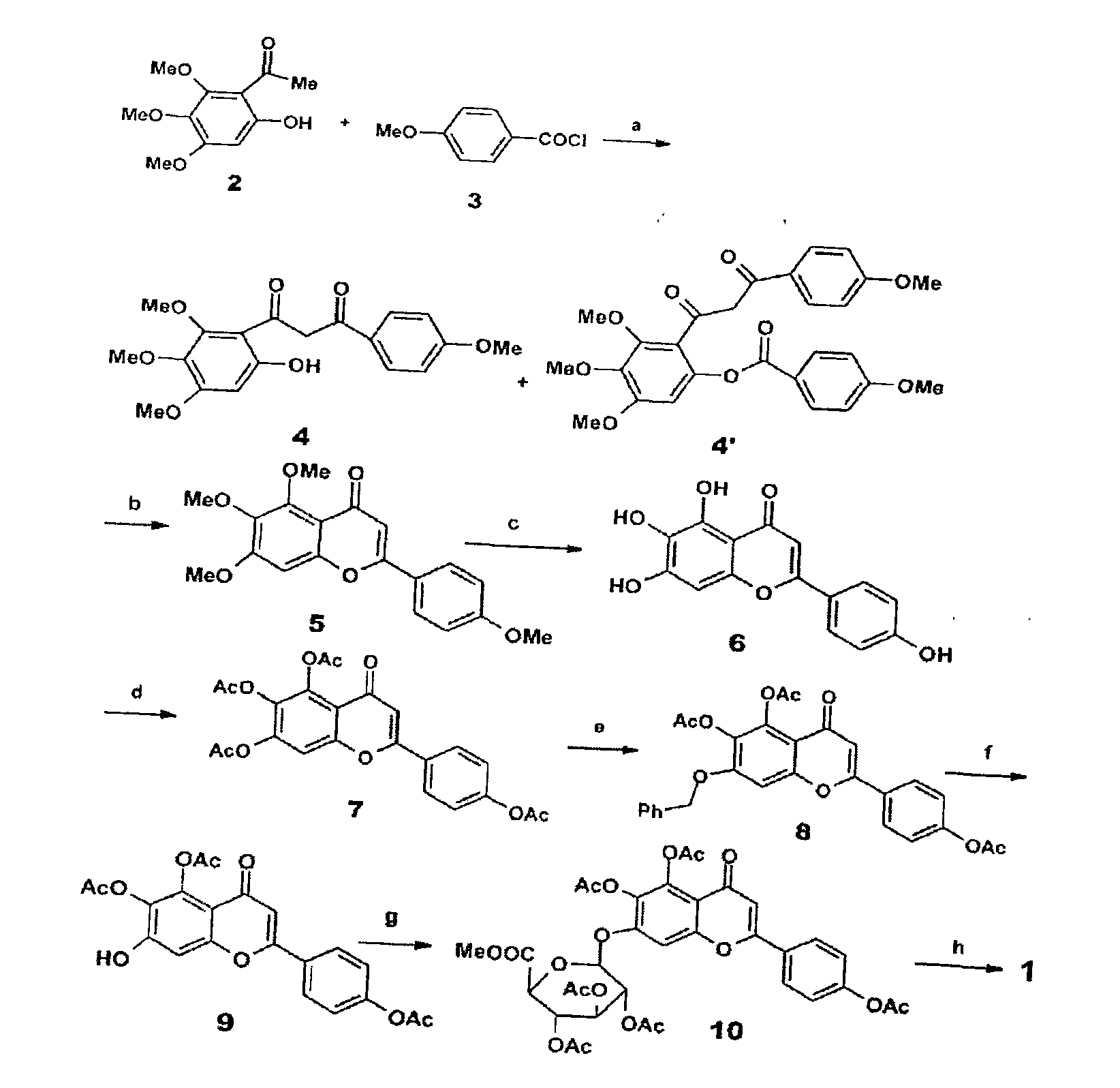 Method for synthesizing 5,6,4'-trihydroxyflavone-7-O-D-glucuronic acid