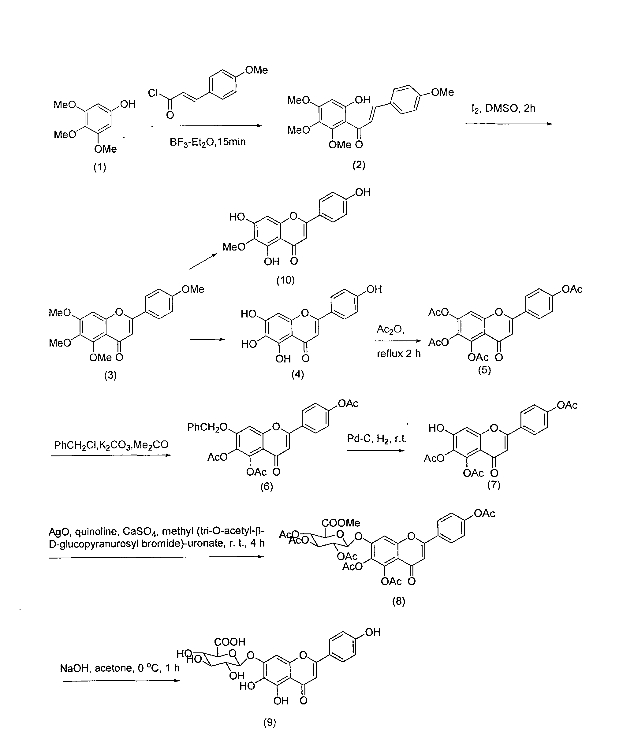 Method for synthesizing 5,6,4'-trihydroxyflavone-7-O-D-glucuronic acid