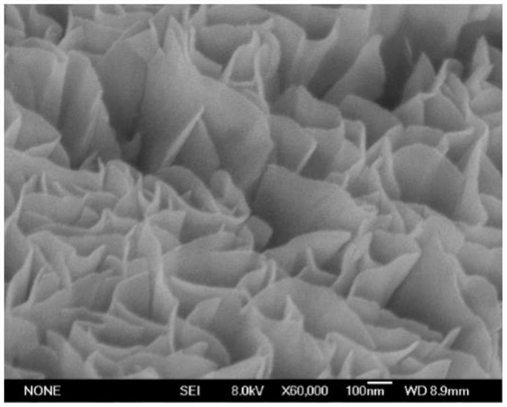 A carbon cloth loaded cote/coo/co nanosheet array electrode material and its application