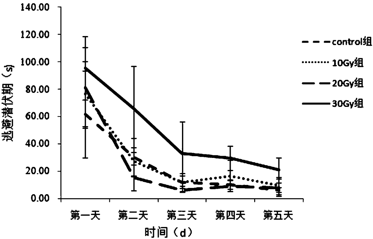 Method for establishing cognitive function injury rat animal model