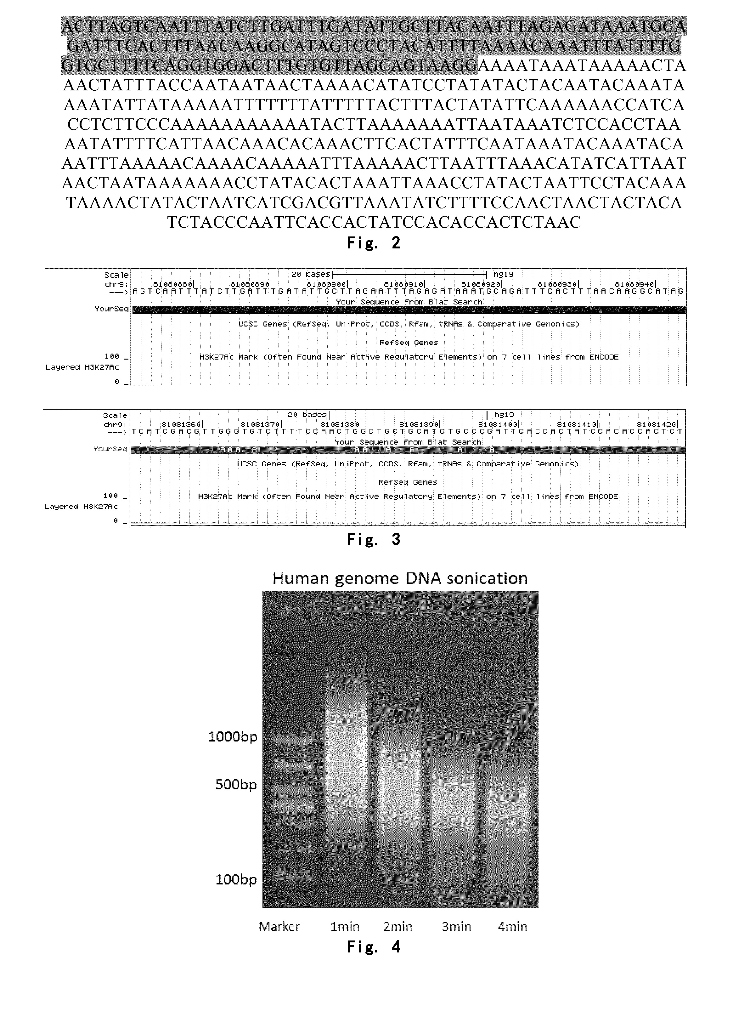 Targeted sequencing technique for whole genome DNA methylation