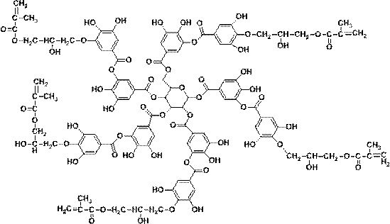 A kind of preparation method of tannic acid-based star polycarboxylate water reducer