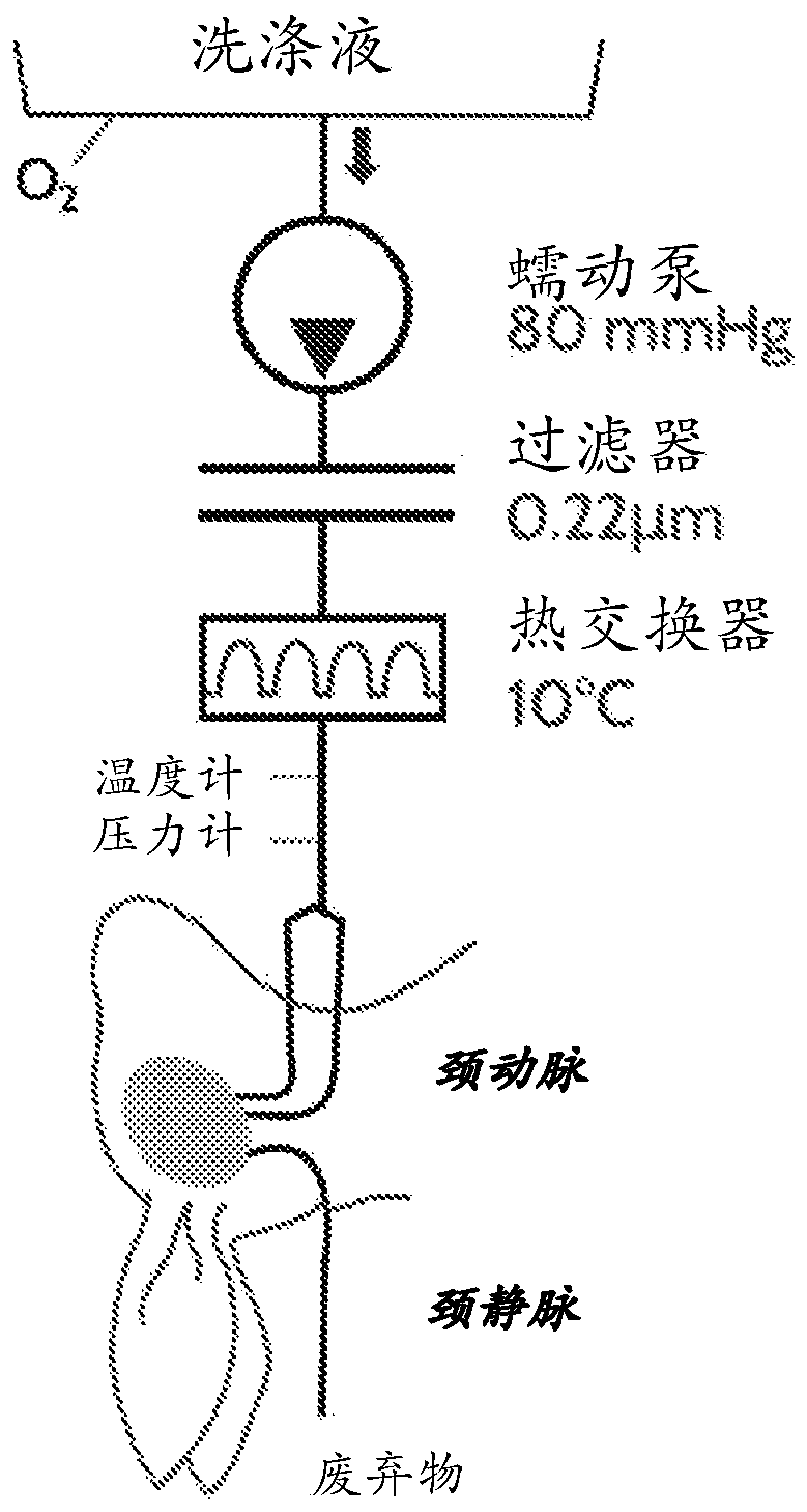 Methods and compositions for the preservation of tissue