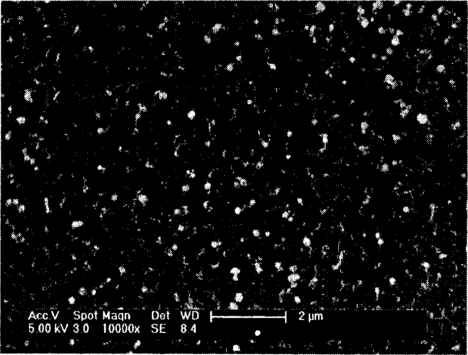 Method for treating surface of magnesium or alloy thereof