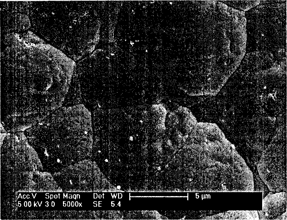 Method for treating surface of magnesium or alloy thereof