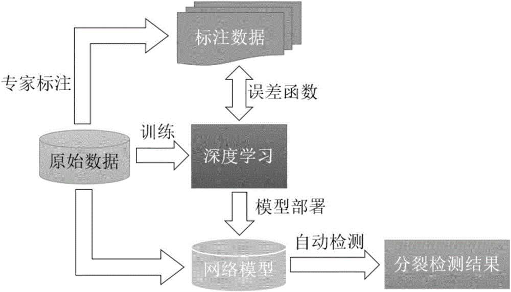 Cell division detection method based on deep learning