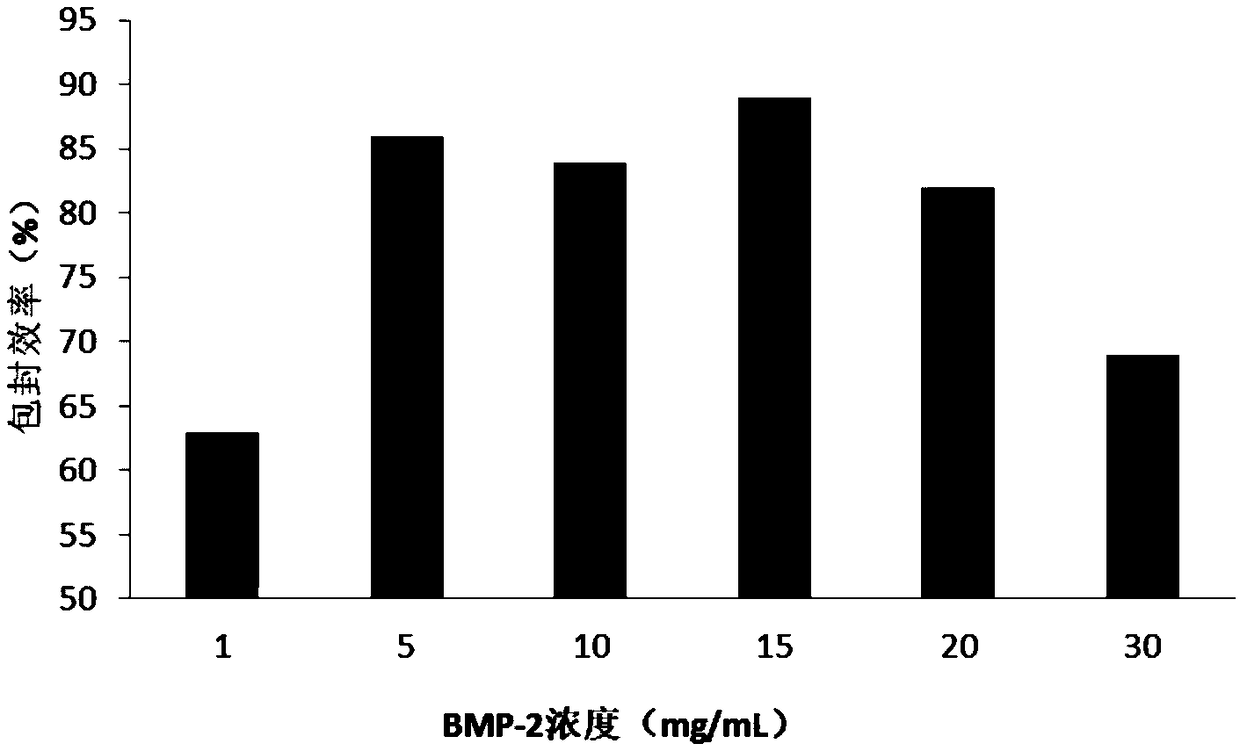 Application of combination of PLGA microcapsule stent encapsulated with BMP-2 and PRF in preparation of drugs for promoting tendon-bone healing