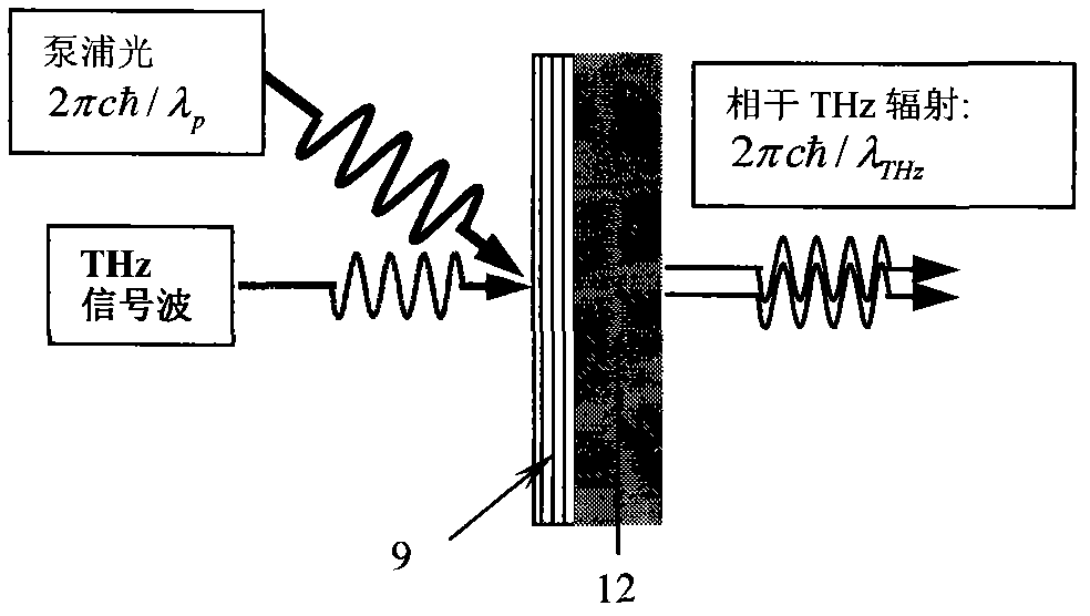 Terahertz wave amplification device based on optical pumping substrate-free graphene