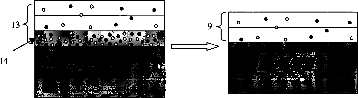 Terahertz wave amplification device based on optical pumping substrate-free graphene