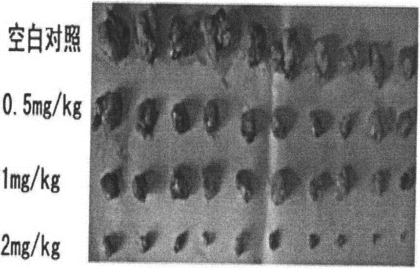 Preparation method and application of water-soluble aminopolycarboxylic acid modified phthalocyanine compound