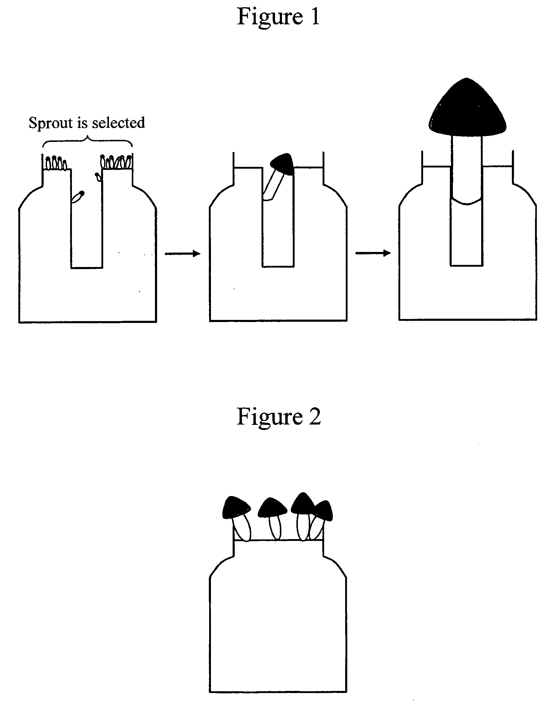 Method for cultivating mushroom