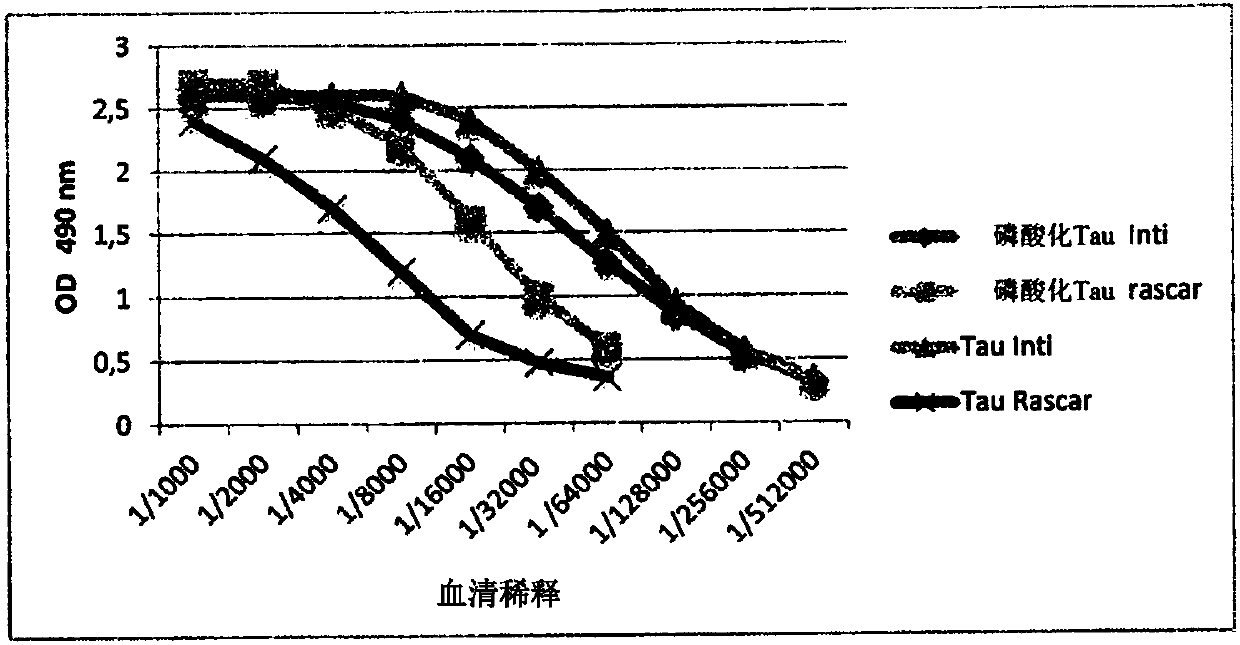 Camelid single-domain antibody directed against phosphorylated TAU proteins and methods for producing conjugates thereof