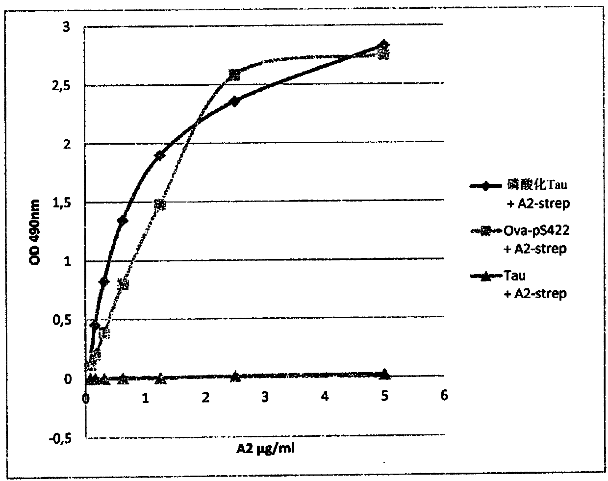 Camelid single-domain antibody directed against phosphorylated TAU proteins and methods for producing conjugates thereof